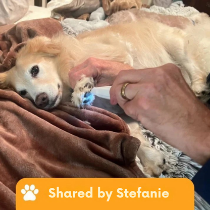 PawEase™ – Gentle Paw Hair Trimmer