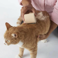 Gato (6 CM)