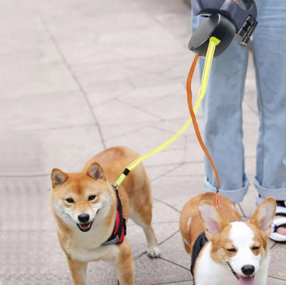 PawControl Leash – Correa Doble con Luz LED